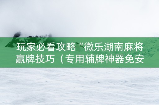 玩家必看攻略“微乐湖南麻将赢牌技巧（专用辅牌神器免安装）