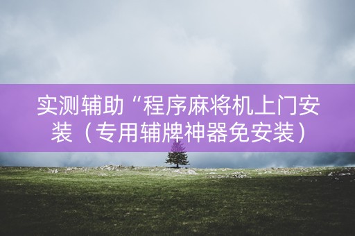 实测辅助“程序麻将机上门安装（专用辅牌神器免安装）