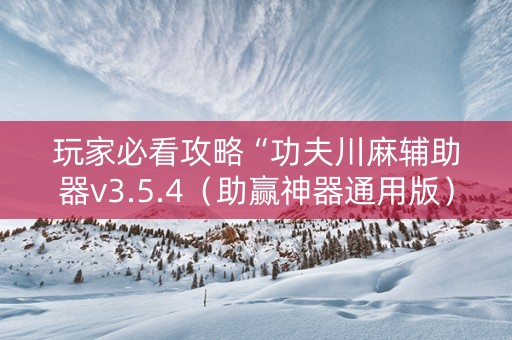 玩家必看攻略“功夫川麻辅助器v3.5.4（助赢神器通用版）