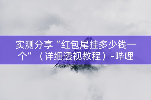 实测分享“红包尾挂多少钱一个”（详细透视教程）-哔哩哔哩