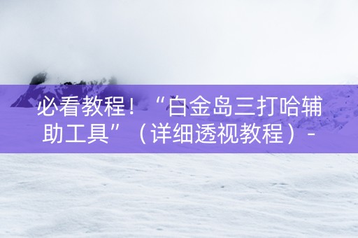 必看教程！“白金岛三打哈辅助工具”（详细透视教程）-哔哩哔哩