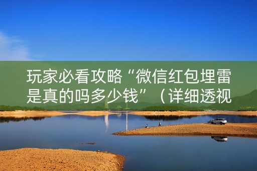 玩家必看攻略“微信红包埋雷是真的吗多少钱”（详细透视教程）-哔哩哔哩