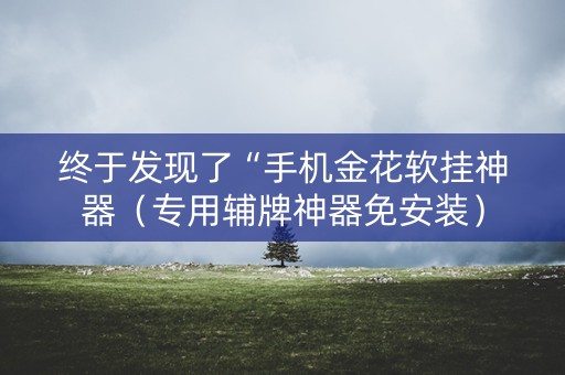 终于发现了“手机金花软挂神器（专用辅牌神器免安装）