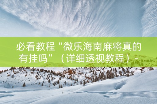 必看教程“微乐海南麻将真的有挂吗”（详细透视教程）-哔哩哔哩