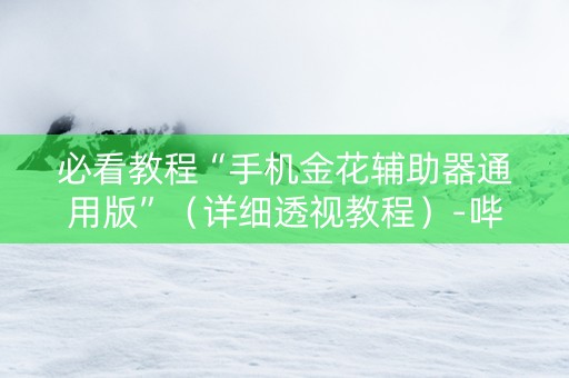 必看教程“手机金花辅助器通用版”（详细透视教程）-哔哩哔哩