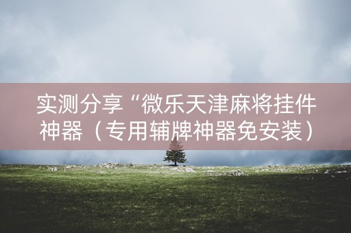 实测分享“微乐天津麻将挂件神器（专用辅牌神器免安装）