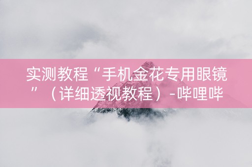 实测教程“手机金花专用眼镜”（详细透视教程）-哔哩哔哩