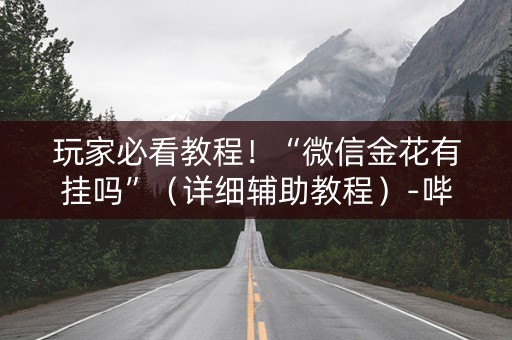 玩家必看教程！“微信金花有挂吗”（详细辅助教程）-哔哩哔哩