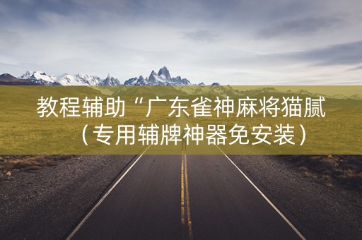 教程辅助“广东雀神麻将猫腻（专用辅牌神器免安装）