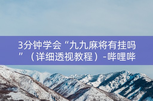 3分钟学会“九九麻将有挂吗”（详细透视教程）-哔哩哔哩