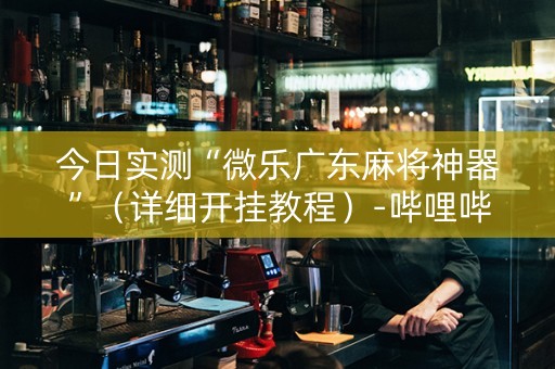 今日实测“微乐广东麻将神器”（详细开挂教程）-哔哩哔哩