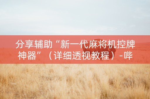 分享辅助“新一代麻将机控牌神器”（详细透视教程）-哔哩哔哩