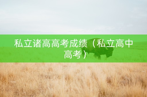 私立诸高高考成绩（私立高中 高考）