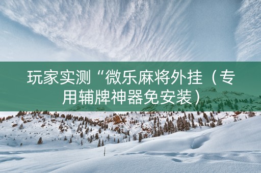 玩家实测“微乐麻将外挂（专用辅牌神器免安装）