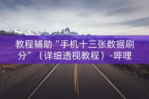 教程辅助“手机十三张数据刷分”（详细透视教程）-哔哩哔哩