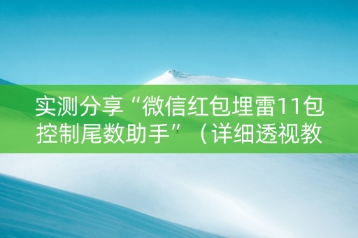 实测分享“微信红包埋雷11包控制尾数助手”（详细透视教程）-哔哩哔哩