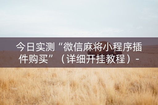 今日实测“微信麻将小程序插件购买”（详细开挂教程）-哔哩哔哩