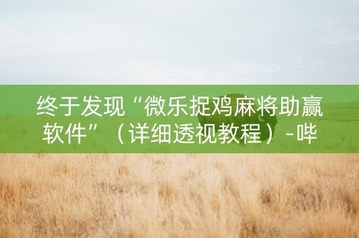 终于发现“微乐捉鸡麻将助赢软件”（详细透视教程）-哔哩哔哩