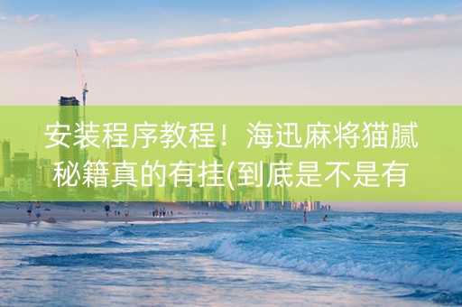 安装程序教程！海迅麻将猫腻秘籍真的有挂(到底是不是有挂)