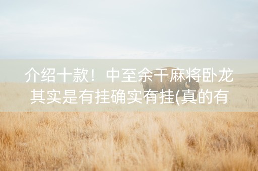 介绍十款！中至余干麻将卧龙其实是有挂确实有挂(真的有挂)
