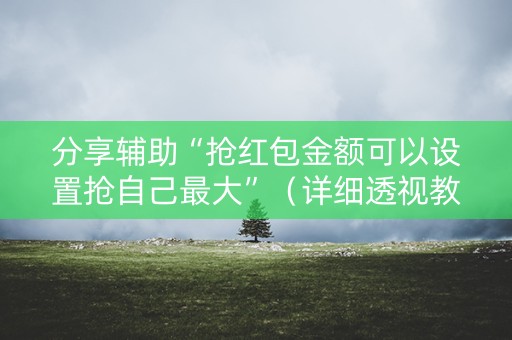 分享辅助“抢红包金额可以设置抢自己最大”（详细透视教程）-哔哩哔哩