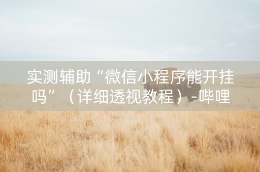 实测辅助“微信小程序能开挂吗”（详细透视教程）-哔哩哔哩