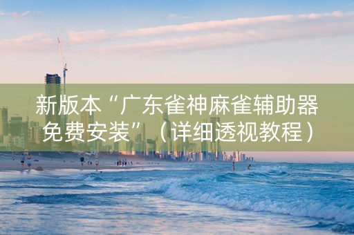 新版本“广东雀神麻雀辅助器免费安装”（详细透视教程）-哔哩哔哩