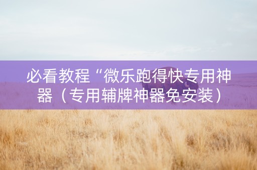 必看教程“微乐跑得快专用神器（专用辅牌神器免安装）