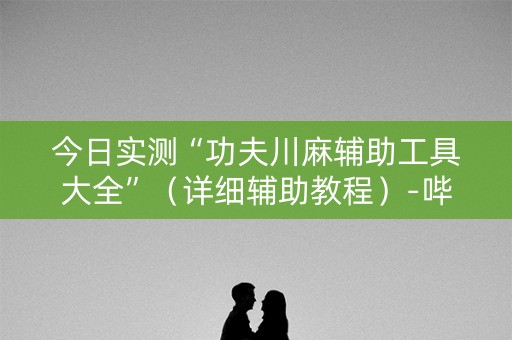 今日实测“功夫川麻辅助工具大全”（详细辅助教程）-哔哩哔哩