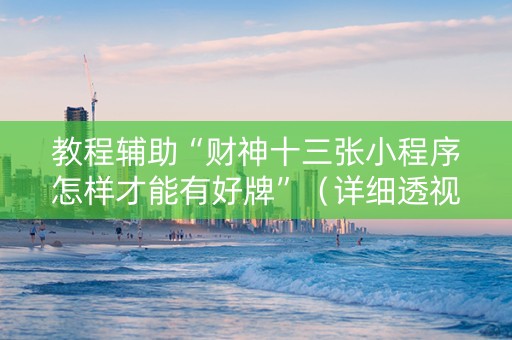 教程辅助“财神十三张小程序怎样才能有好牌”（详细透视教程）-哔哩哔哩