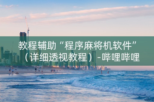 教程辅助“程序麻将机软件”（详细透视教程）-哔哩哔哩