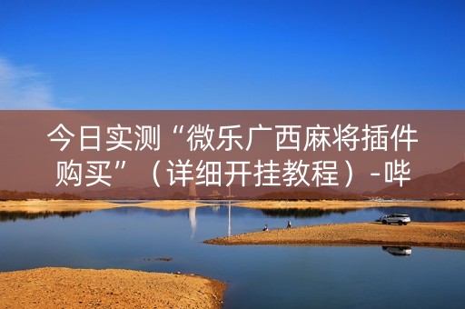 今日实测“微乐广西麻将插件购买”（详细开挂教程）-哔哩哔哩