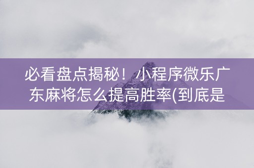 必看盘点揭秘！小程序微乐广东麻将怎么提高胜率(到底是不是有挂)