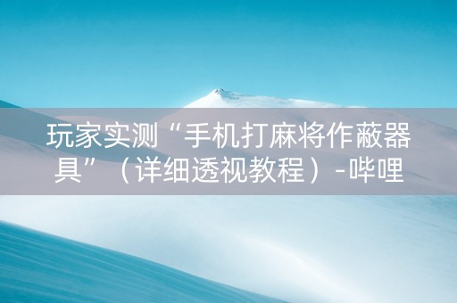 玩家实测“手机打麻将作蔽器具”（详细透视教程）-哔哩哔哩