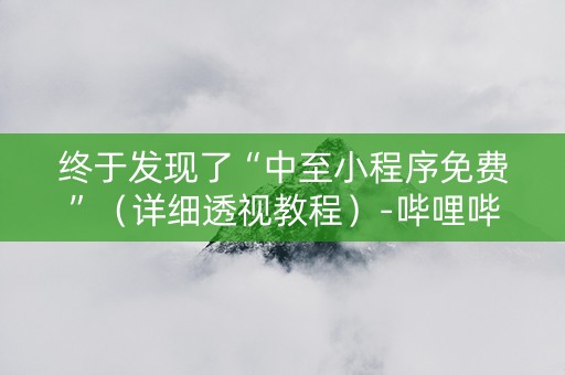 终于发现了“中至小程序免费”（详细透视教程）-哔哩哔哩