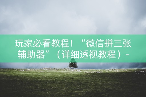 玩家必看教程！“微信拼三张辅助器”（详细透视教程）-哔哩哔哩