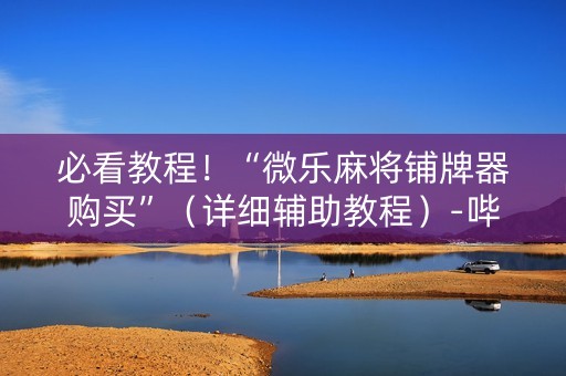 必看教程！“微乐麻将铺牌器购买”（详细辅助教程）-哔哩哔哩