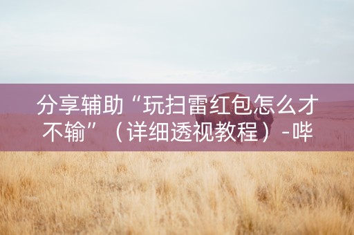 分享辅助“玩扫雷红包怎么才不输”（详细透视教程）-哔哩哔哩