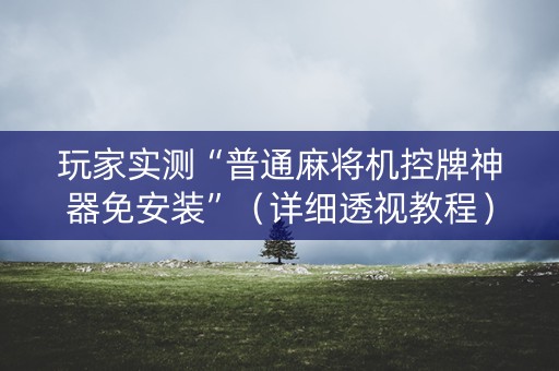 玩家实测“普通麻将机控牌神器免安装”（详细透视教程）-哔哩哔哩