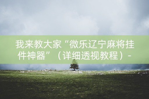 我来教大家“微乐辽宁麻将挂件神器”（详细透视教程）-哔哩哔哩