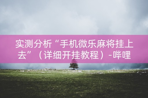 实测分析“手机微乐麻将挂上去”（详细开挂教程）-哔哩哔哩