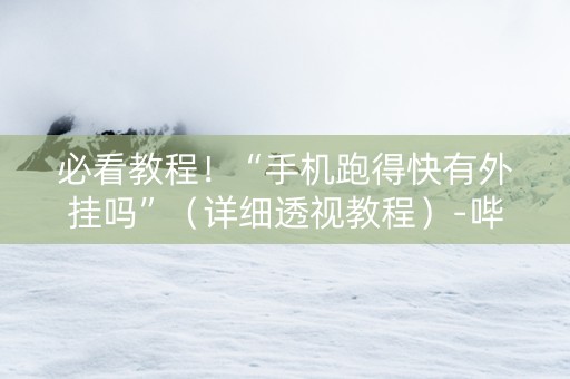 必看教程！“手机跑得快有外挂吗”（详细透视教程）-哔哩哔哩