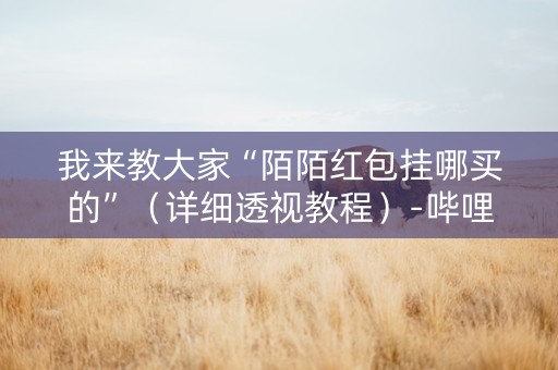 我来教大家“陌陌红包挂哪买的”（详细透视教程）-哔哩哔哩