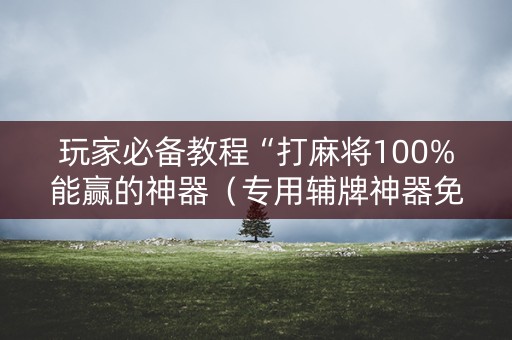 玩家必备教程“打麻将100%能赢的神器（专用辅牌神器免安装）