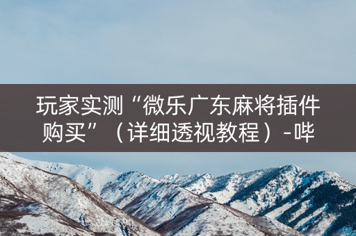 玩家实测“微乐广东麻将插件购买”（详细透视教程）-哔哩哔哩