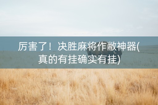 厉害了！决胜麻将作敝神器(真的有挂确实有挂)