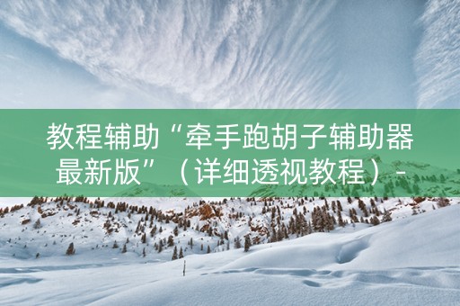 教程辅助“牵手跑胡子辅助器最新版”（详细透视教程）-哔哩哔哩