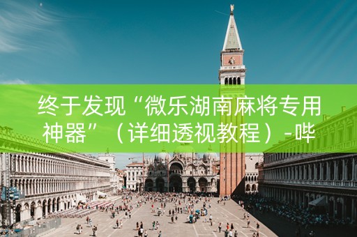 终于发现“微乐湖南麻将专用神器”（详细透视教程）-哔哩哔哩