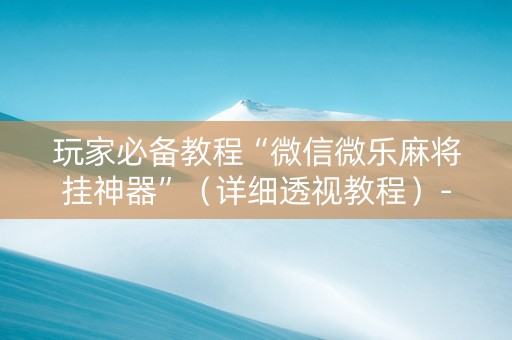 玩家必备教程“微信微乐麻将挂神器”（详细透视教程）-哔哩哔哩