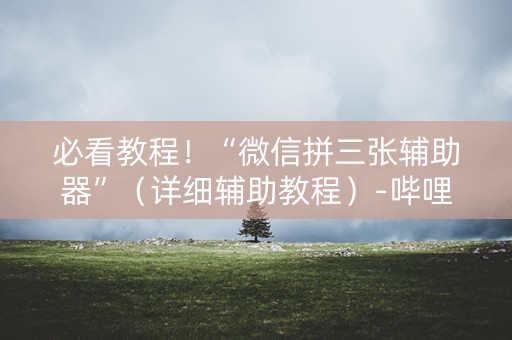 必看教程！“微信拼三张辅助器”（详细辅助教程）-哔哩哔哩